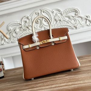 Hermes Birkin 25 Bag Togo Bicolor Leather Gold Hardware In Brown/Beige