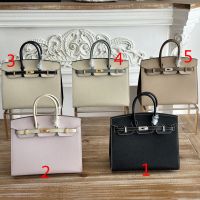 Hermes Birkin 25 Bag Epsom Bicolor Leather Gold Hardware