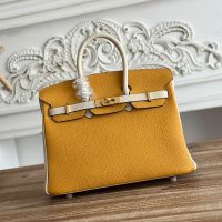 Hermes Birkin 25 Bag Togo Bicolor Leather Gold Hardware In Yellow/Beige