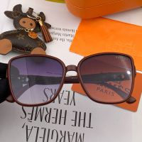 Hermes H98001 Square Acetate Sunglasses In Coffee